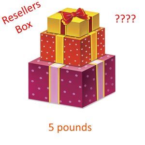 Mixture Resellers Mystery Box Dress Skirt Top Pants Combo of sizes 5 pou…